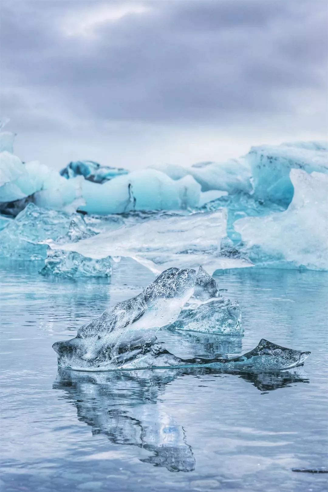 南极冰海岛 库存照片. 图片 包括有 夏天, 海运, 海岛, 极性, 冰山, 本质, 冷静, 行程, 浮动 - 15834482