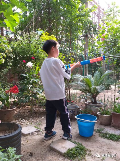 蔷薇花几月份开始种植 8f18b31bb08944bea9ff6505eeee1a3b.jpeg