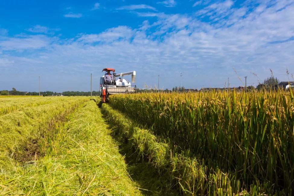 太珍贵了！相城这个小镇一批老照片首次曝光