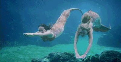 壁纸 动物 海底 海底世界 海洋馆 水族馆 鱼 鱼类 400_205 gif 动态图