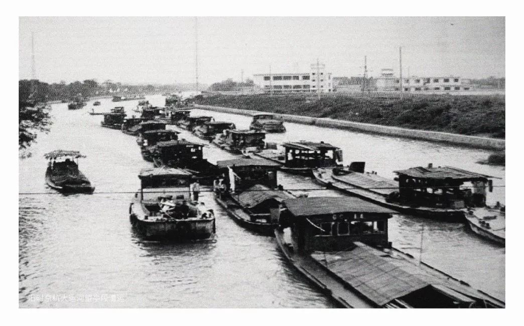 太珍贵了！相城这个小镇一批老照片首次曝光