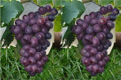 971375bdb90b424baeae5e2485a9d8fa.jpeg