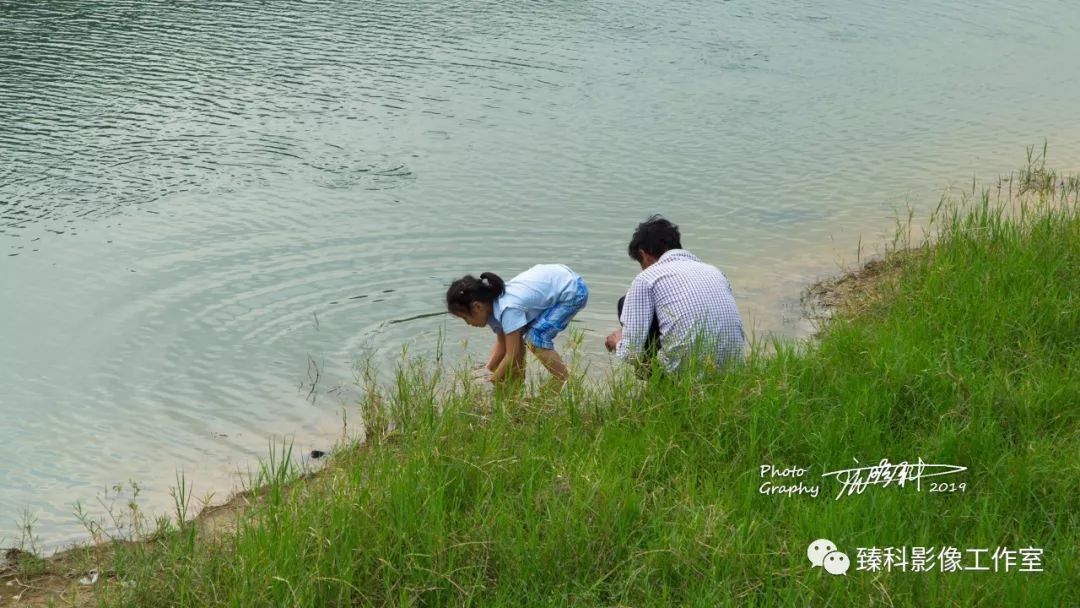 一对爷孙俩在水库右边的浅库底下摸鱼.