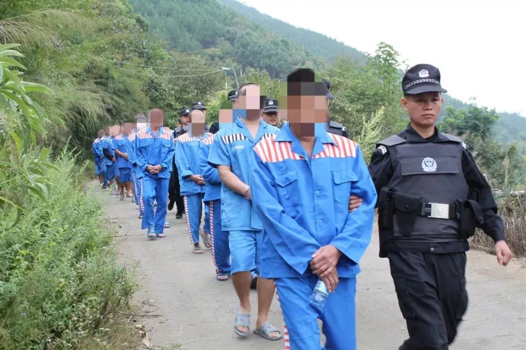 广西警方抓获黑恶势力54人,有22人竟是"保护伞",包括人大代表!