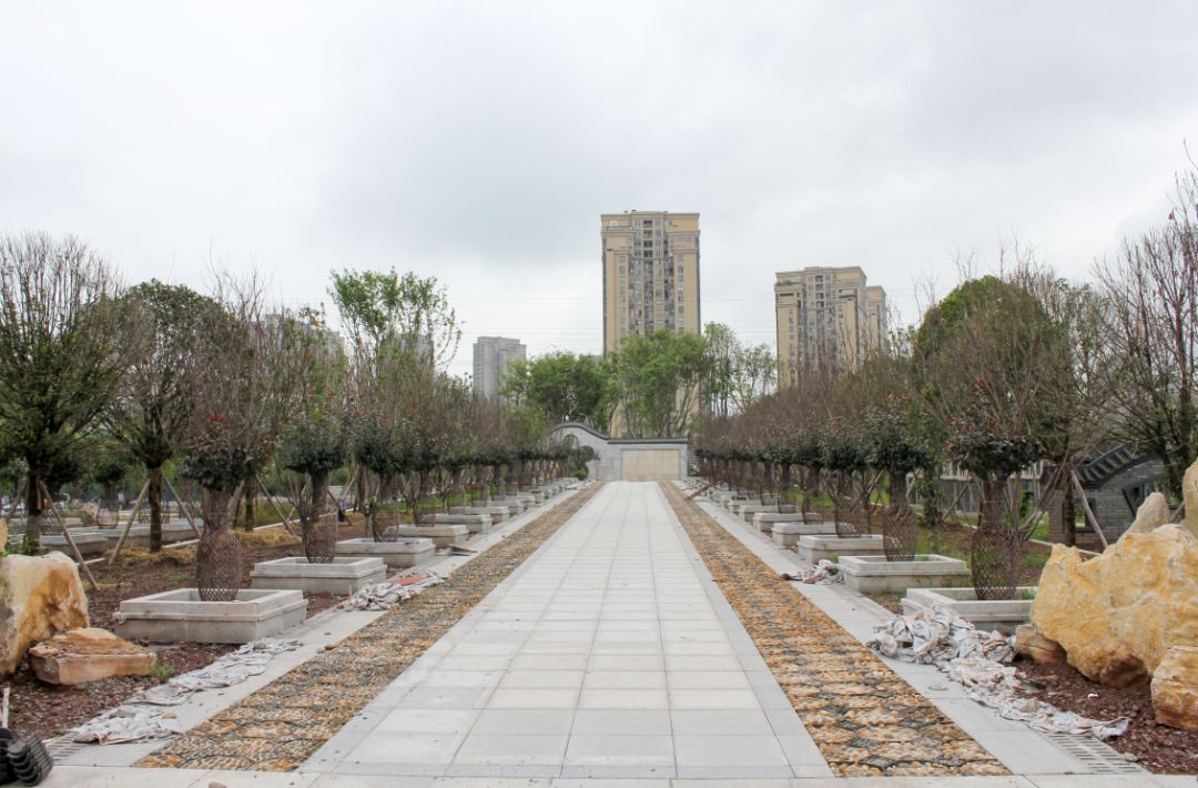 何超 摄荣昌区海棠公园公园城市荣昌区城区河岸绿化荣昌区城市道路