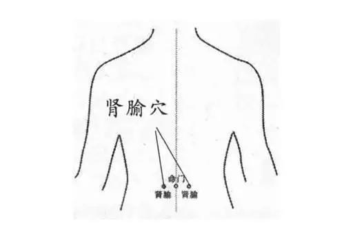 肥胖的最大问题是肝郁和脾虚紫德堂教你怎么减肥