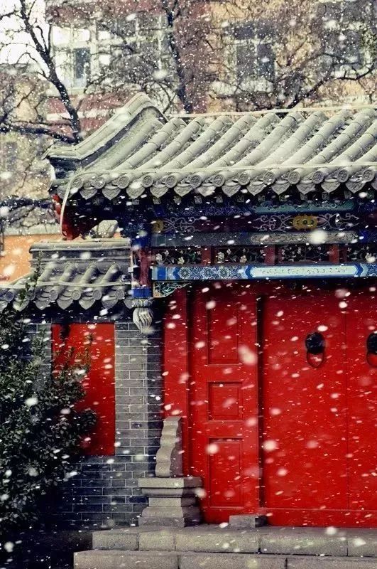 文章配图-97