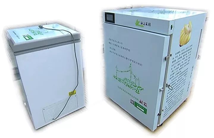 厉害了,渔民、船员也能在船上种菜吃菜!全靠这