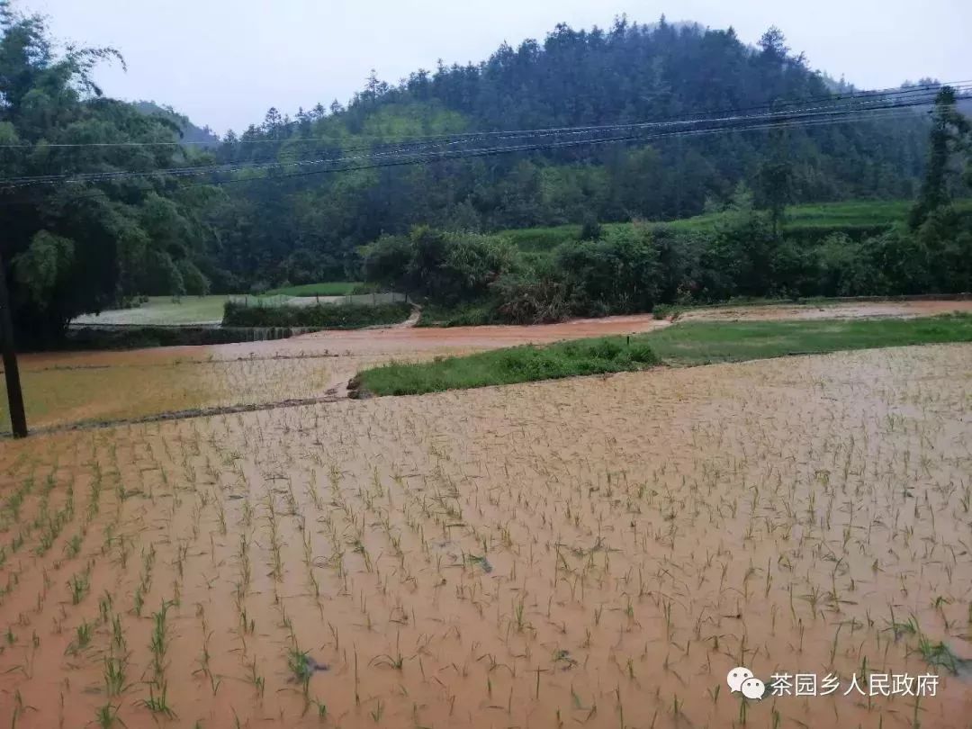 庄稼被淹