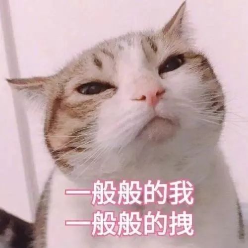 c27167fb669b4c26addd2e315e55e55d.jpeg