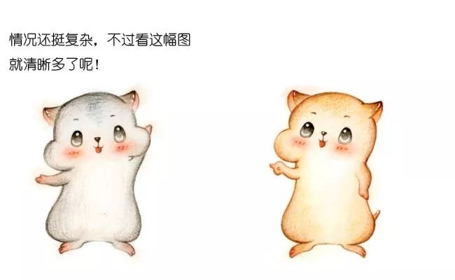 漫画:旋转数组中的二分查找