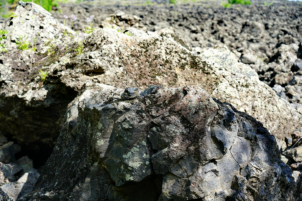 五大连池火山圣水节，6月不可错过的节日狂欢