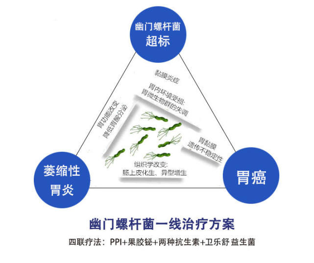 怎样预防幽门螺杆菌?这几点千万要注意