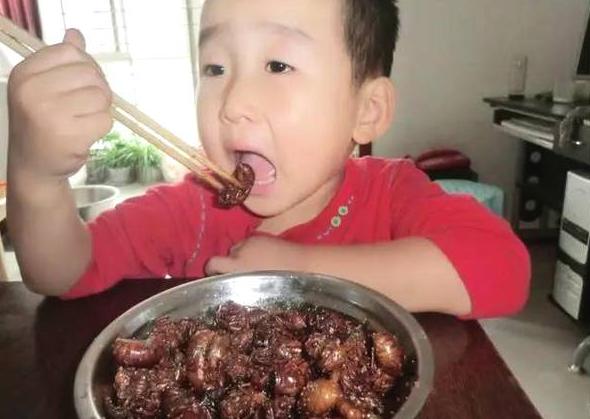                     6岁之前，管住孩子的嘴，儿科医生：这4种东西，小孩子越吃越伤