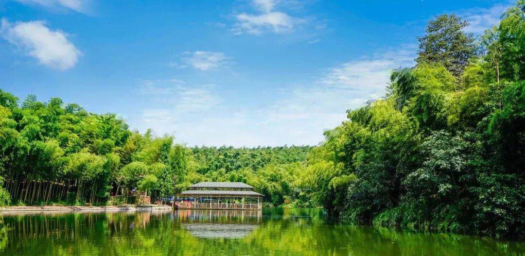 成都到宜宾高铁放票!蜀南竹海暑期游,Go!