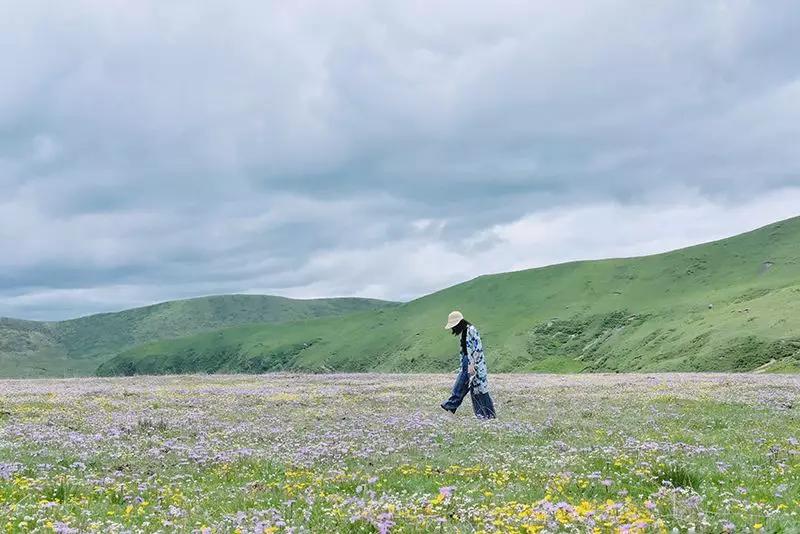 原創
            夏季的花海、草原、雪山，都在四川這個「小瑞士」里 旅遊 第12張