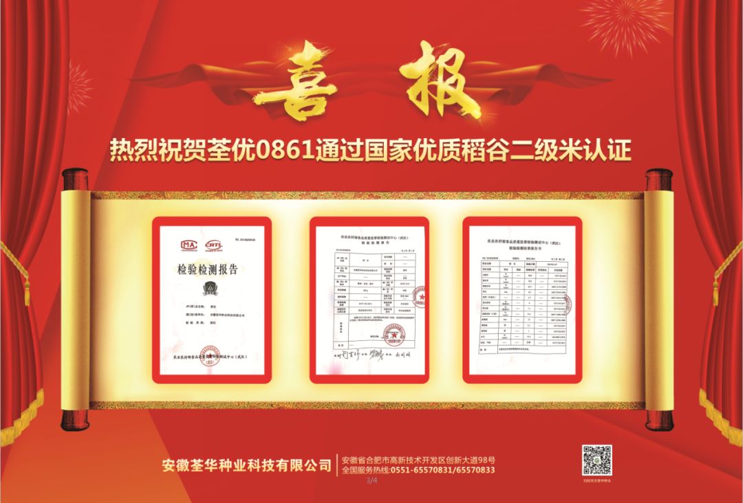 【爱种优选】 安徽荃华种业 水稻种子 荃优0861