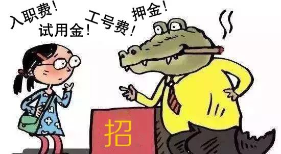求职招聘工作坑 e0758163d54b4c8ebfcb76f8a37ef2bc.jpeg