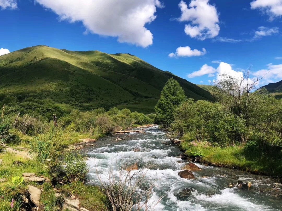 6月毕业季,一起去成都周边鹧鸪山露营、烧烤、