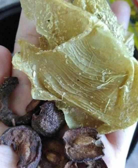                     带娃10年，孩子从不积食，就用一招，身高蹭蹭长，吃饭香！