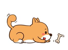 ��ʦ�ʸ�֤�϶���������?������쳣�������������