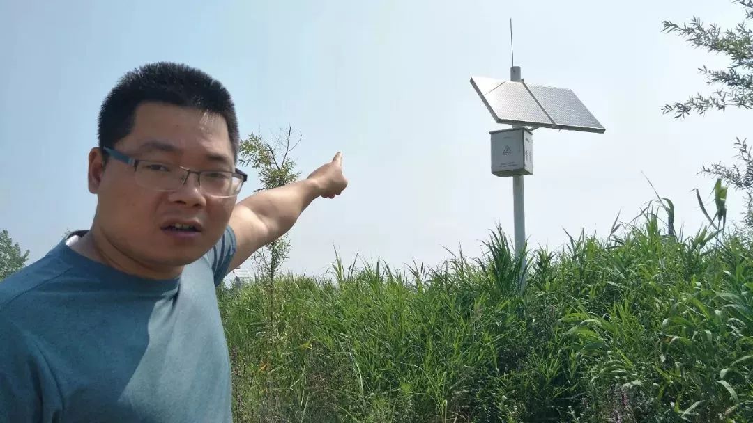 国家级保护动物都来马鞍山啦!环境好,才是真的