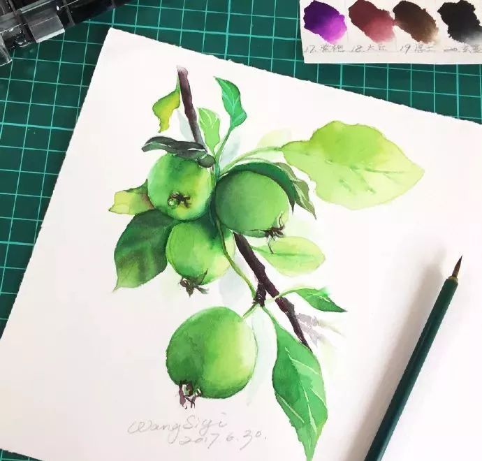 简单小教程 | 水彩海棠果的画法
