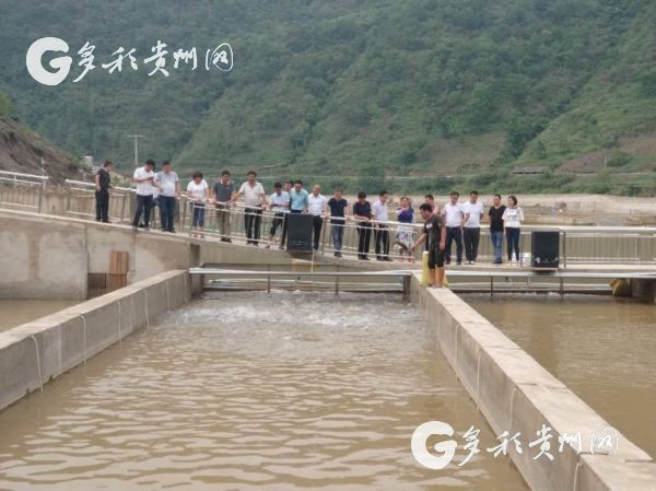 镇宁县经济总量_镇宁县中医院(2)