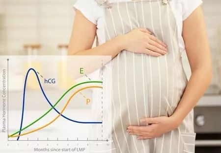                     孕期体重该增重多少算正常？