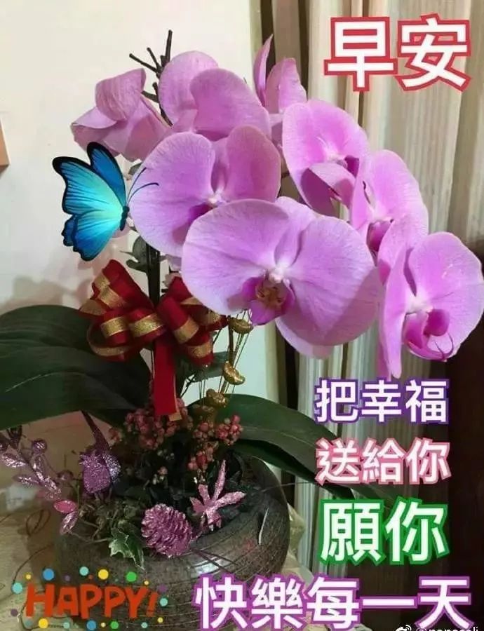 °簲ʺףȫ Ϻף