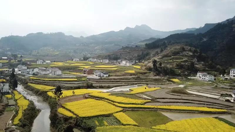 三泉镇人口_重庆南川遭受严重暴雨袭击 受灾人口达2.1万