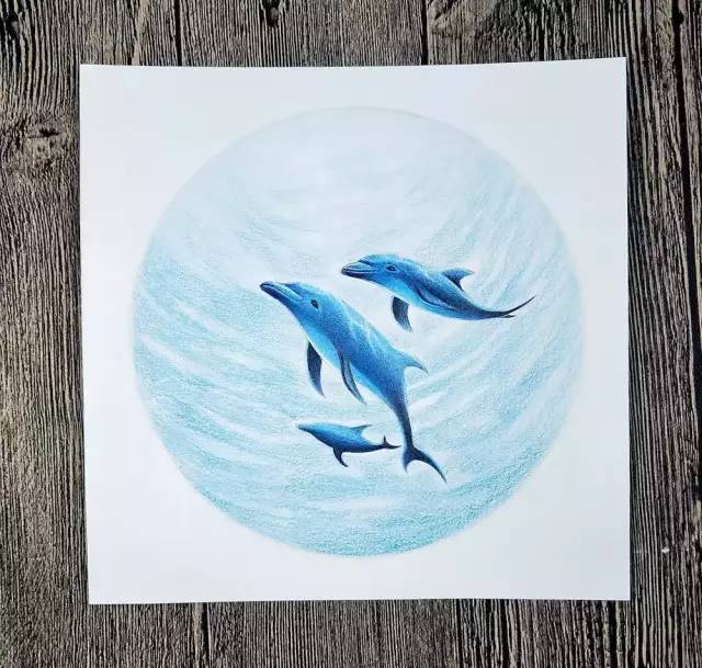 彩铅教程超漂亮的深海之魅小海豚