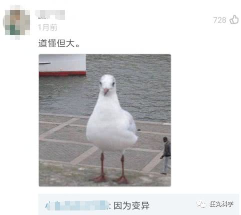 1b781acab99e471aa2e4c829e23d61b6.jpeg