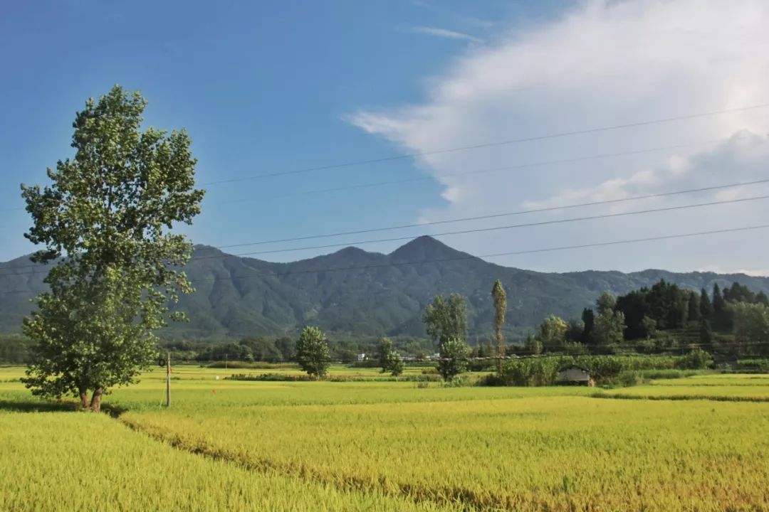 人民币1000 ,国内小众旅拍圣地 | 碧山