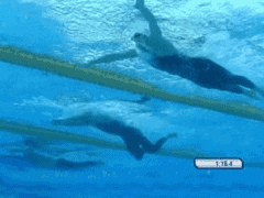 1.水下视角:再看看蛙泳的水下图