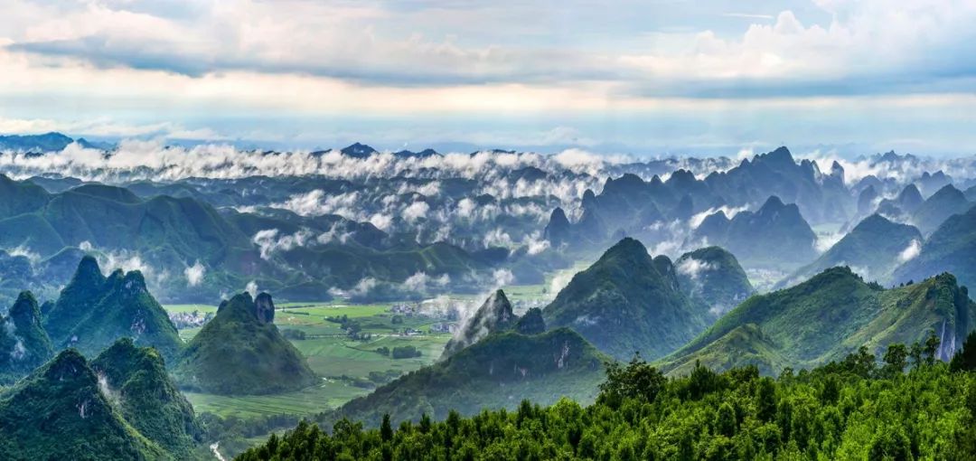 园广西药用植物园,被誉为养生者名山的避暑胜地大明山