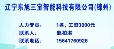 辽宁招聘网_辽宁银行招聘信息网 2020辽宁银行校园招聘