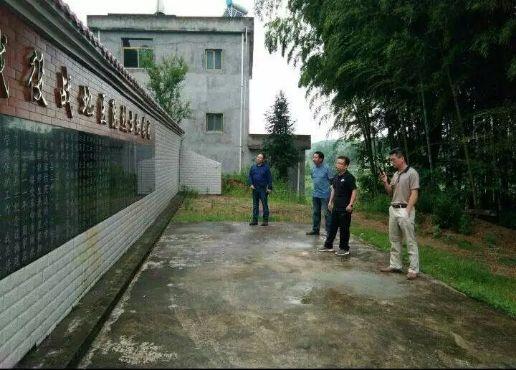 湖北省蕲春县刘河镇经济总量_湖北省蕲春县美女照片