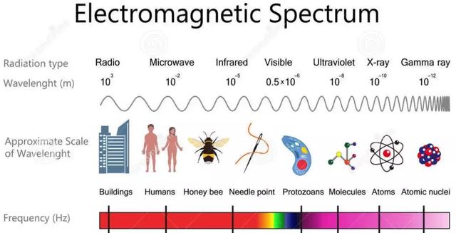 这位学霸继承600万平方米庄园遗产，却还专心搞科研发明了改变世界的方程