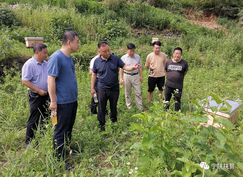 宁陕县脱贫攻坚百日会战行动十六