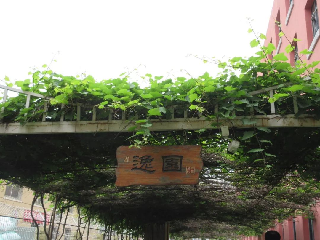 辽阳市白塔区2019年Gdp_辽阳市白塔区陈宏宇(2)