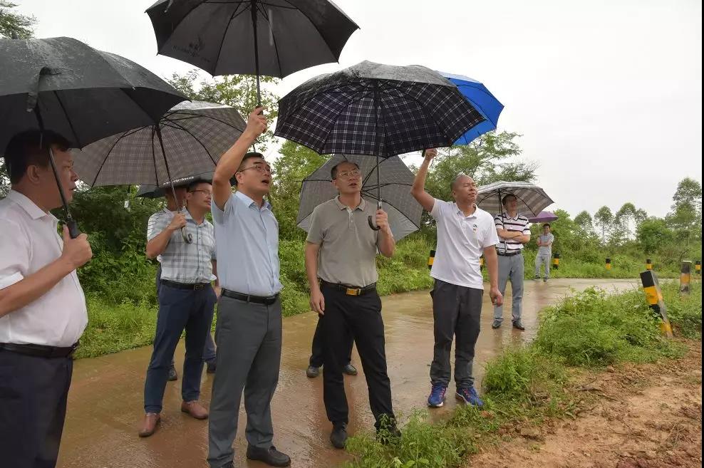 陈树源调研闸岗:扶贫与产业发展齐推进,小镇打造大平台