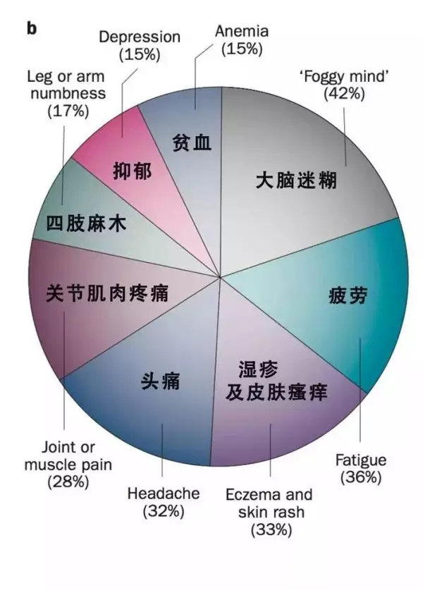                     宝宝的痛你无法忽视，家有敏感的宝宝如何选择辅食
