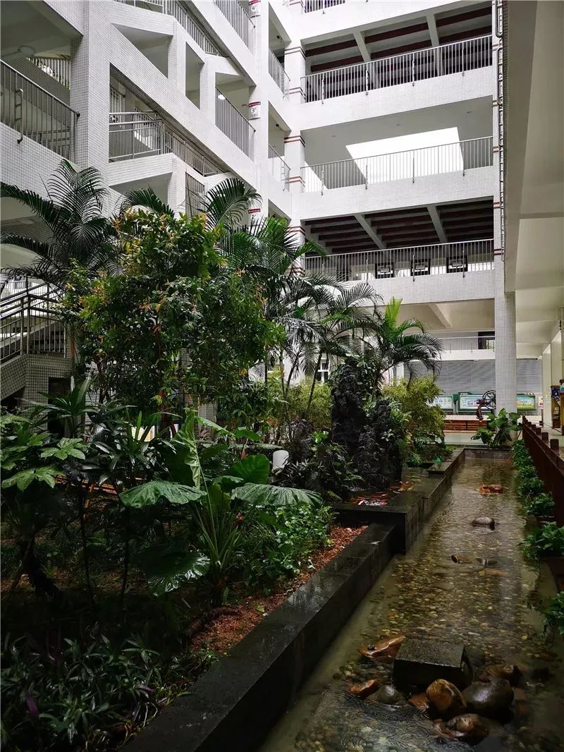 第558期】李沧区实验小学寻标深圳新安中学(集