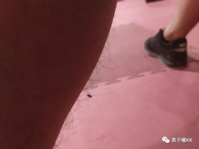 记忆力人口_记忆力差的图片(3)
