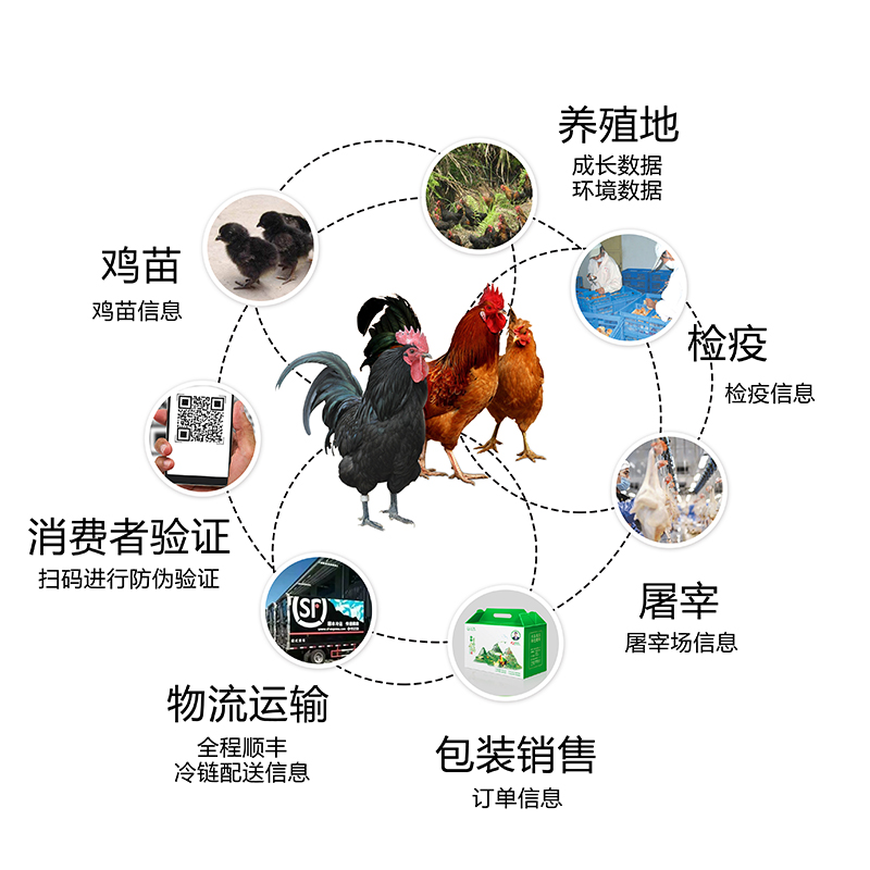 互联网农场新商机
