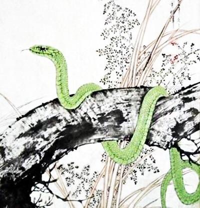 高人解读，梦见蛇并成功将其击败的深层含义