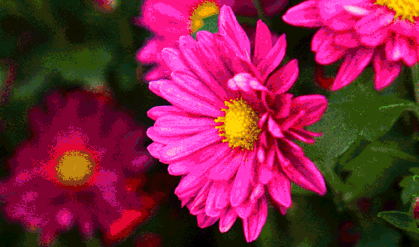 600_354gif 动态图 动图