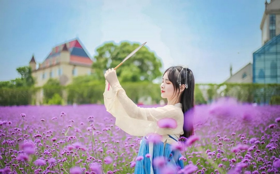 花博汇马鞭草花海这漾紫,6月15日免票入园!