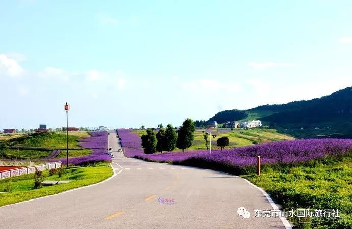 贵州六盘水,北盘江大峡谷,双乳峰,野鸡坪动车5天